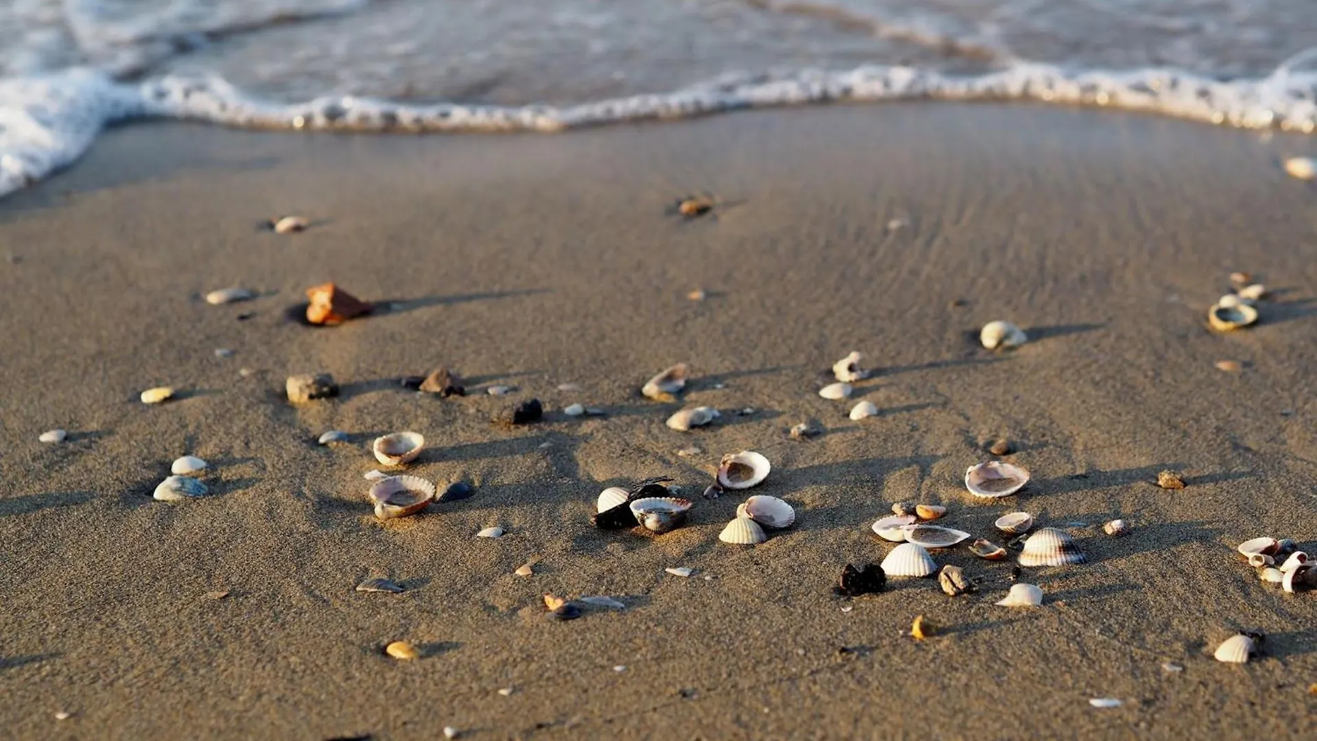Discover Your Seaside Escape In Bibione 0*,  Italy